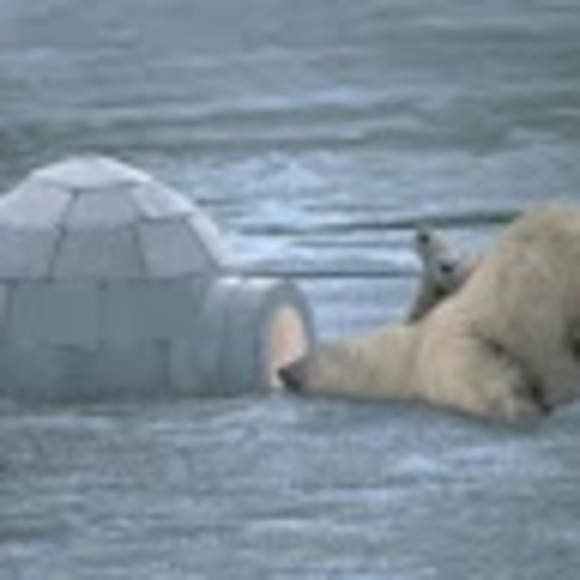 Meet your Posher, Shannon - Picture 1 of 1